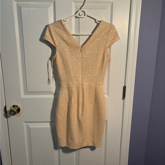 NWT dress the population sequined sparkle cream dress - Picture 3 of 5